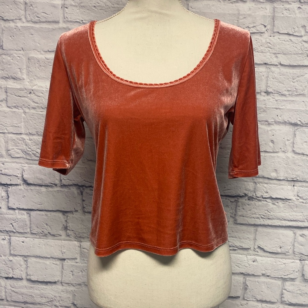 Abercrombie & Fitch Half Sleeve Cropped Velvet Top Sz L